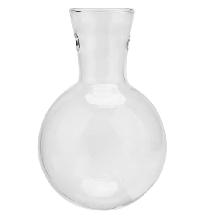 Hydroponic Desktop Plant Vase Vintage Glass