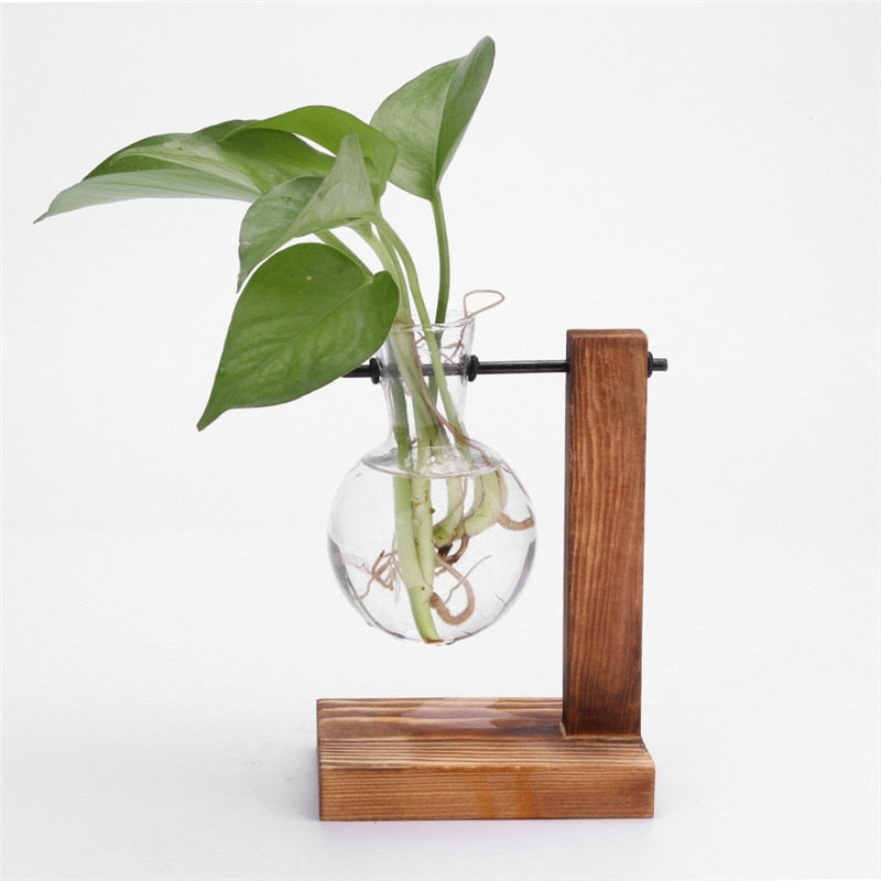 Hydroponic Desktop Plant Vase Vintage Glass